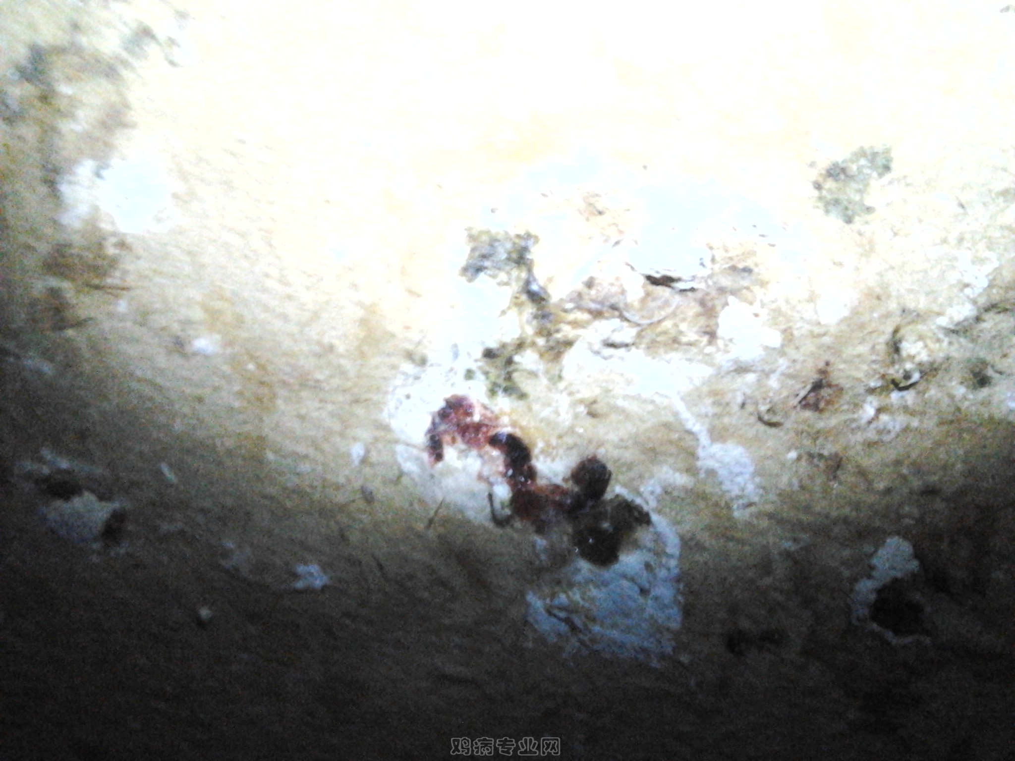 IMG_20120930_235016.jpg