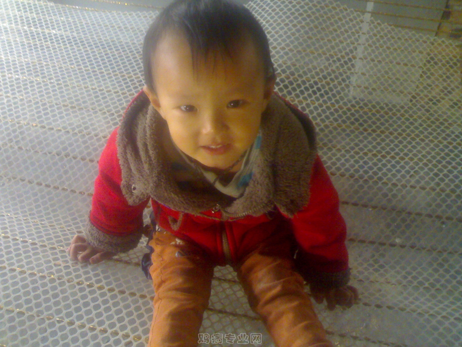 20121012389.jpg