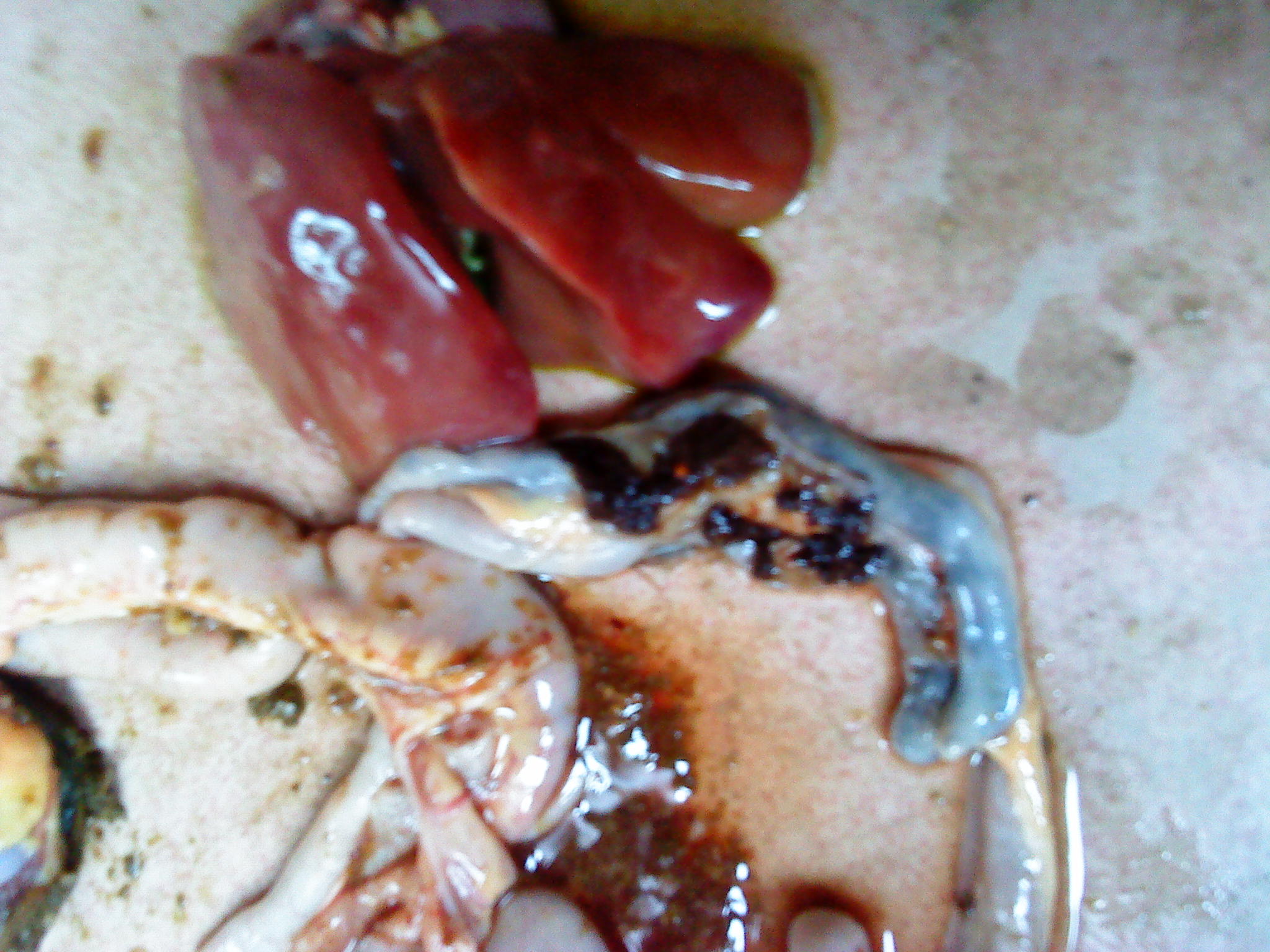 DSC00604.JPG
