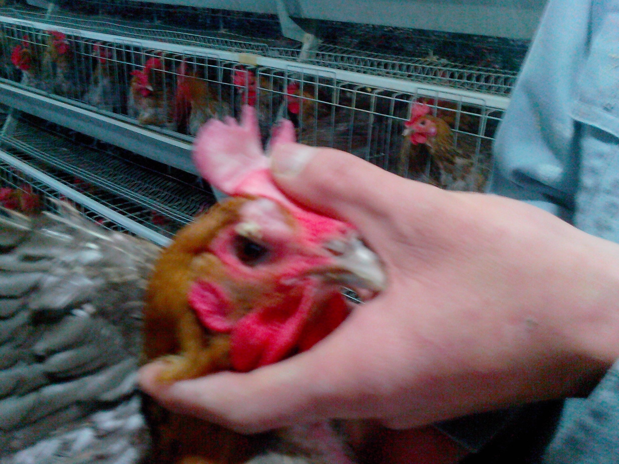 IMG20121118031.JPG