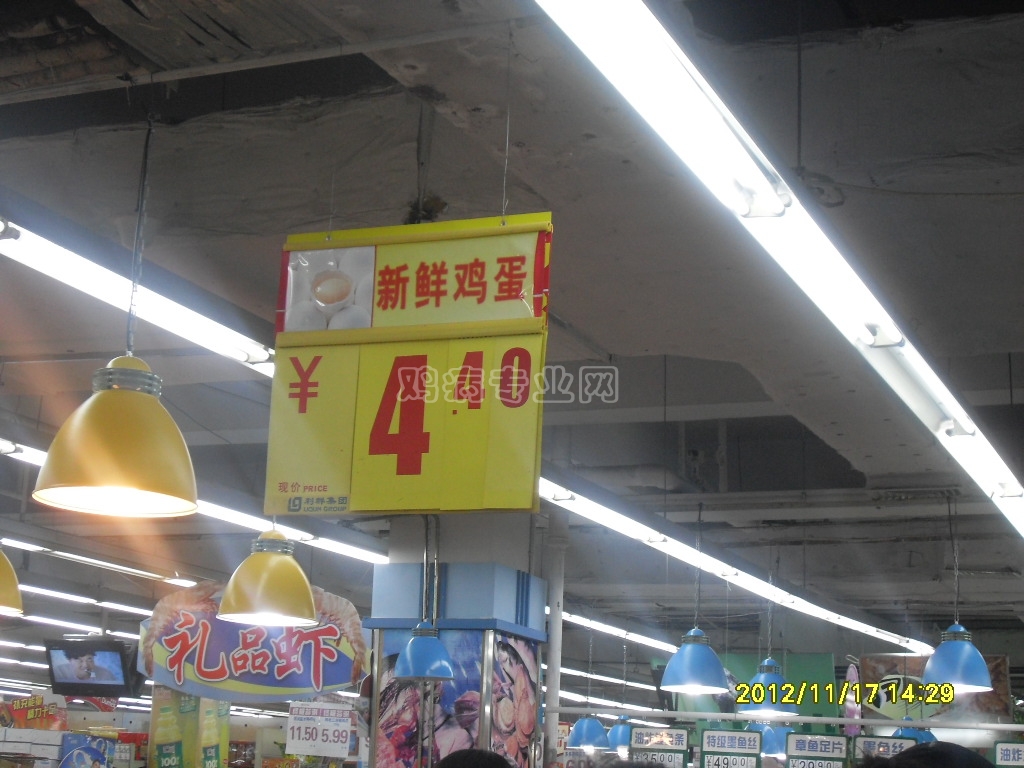 SDC12164.JPG
