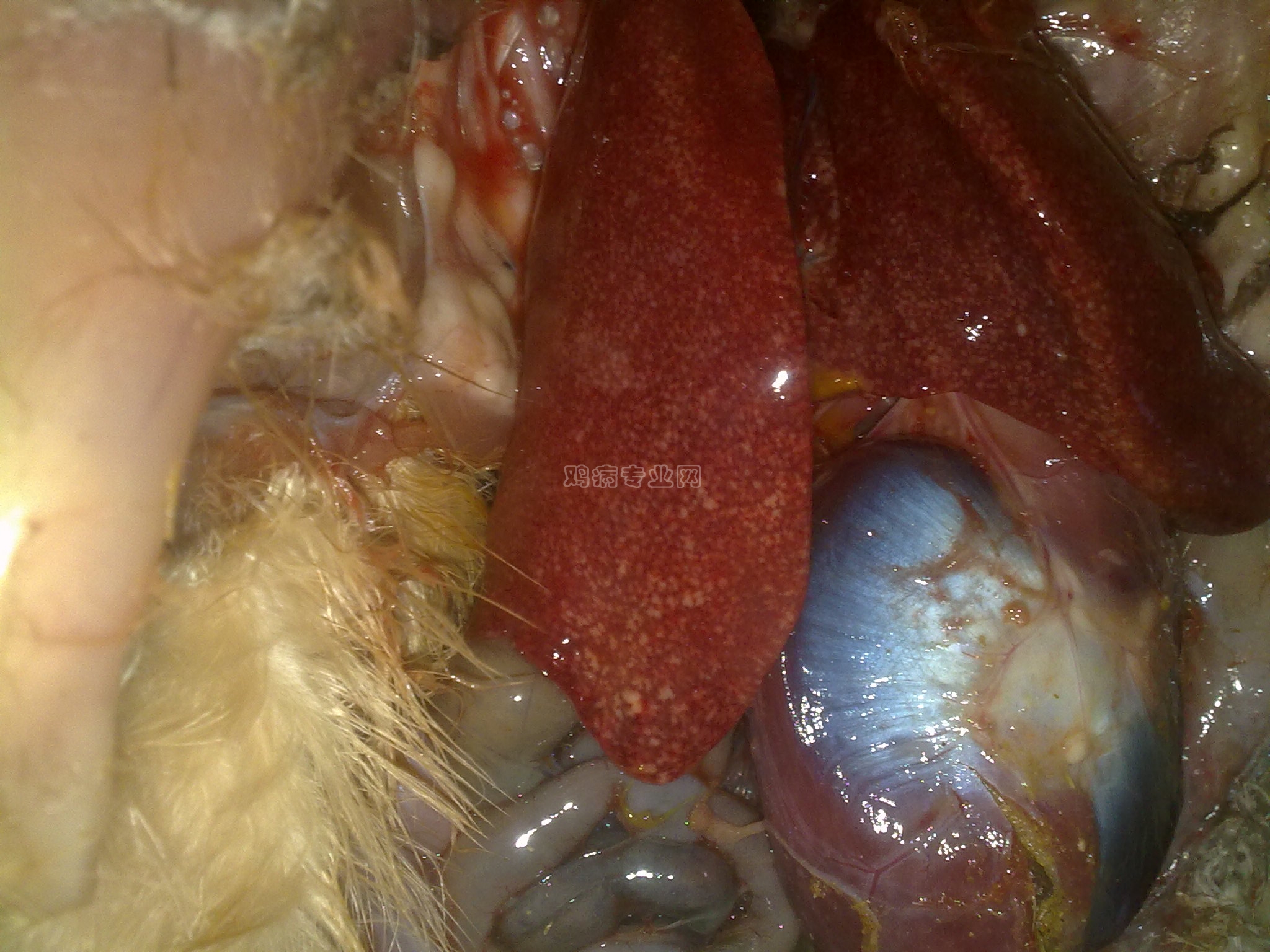 20121125695.jpg