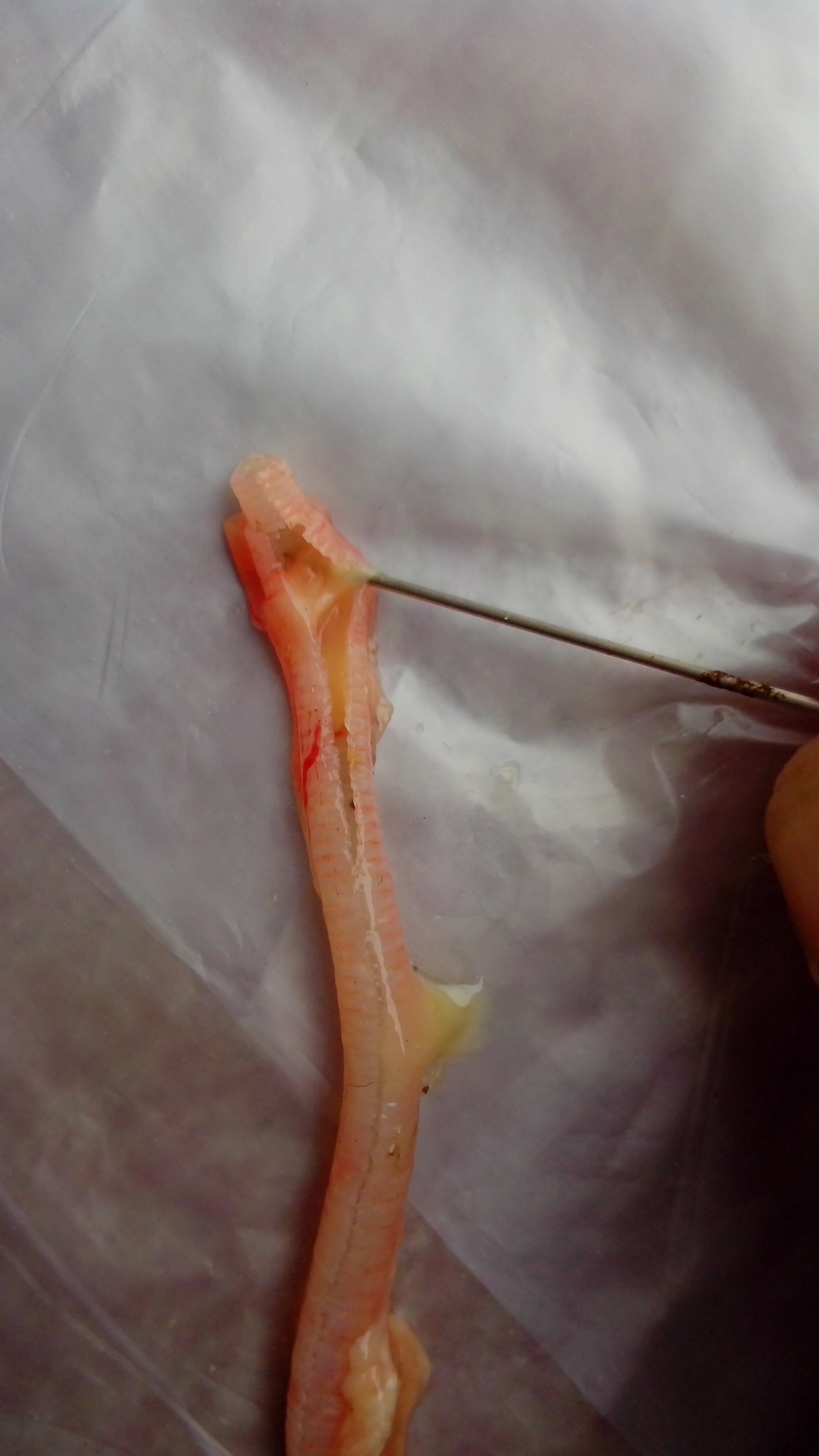 IMG_20121114_152526.jpg