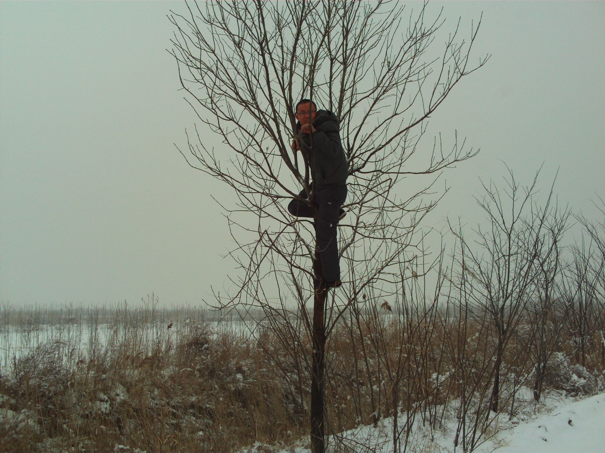 FILE0083.JPG