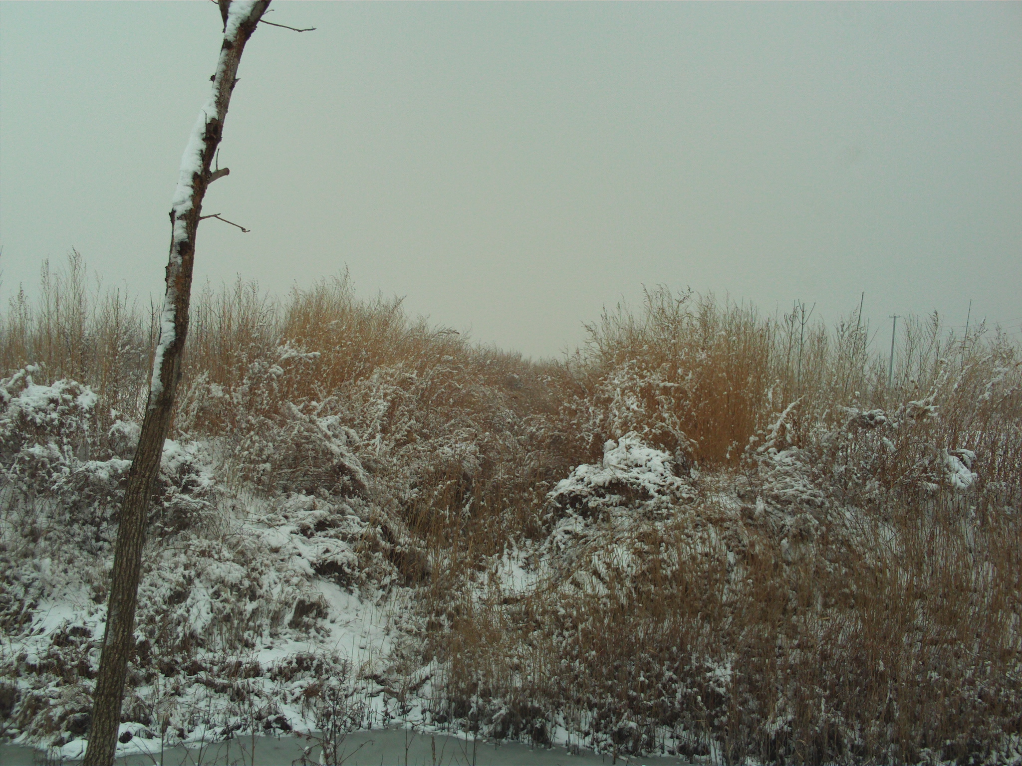 FILE0124.JPG