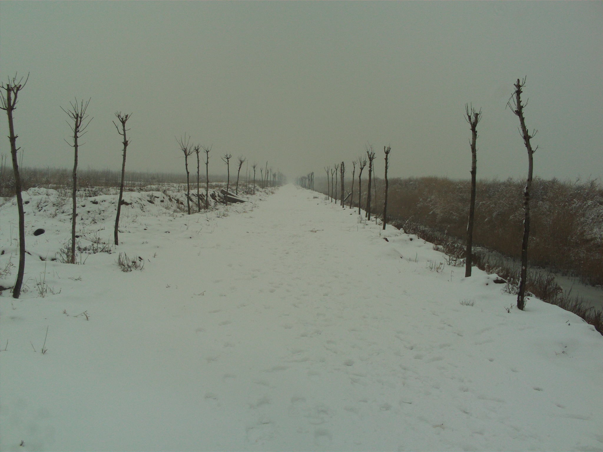 FILE0123.JPG