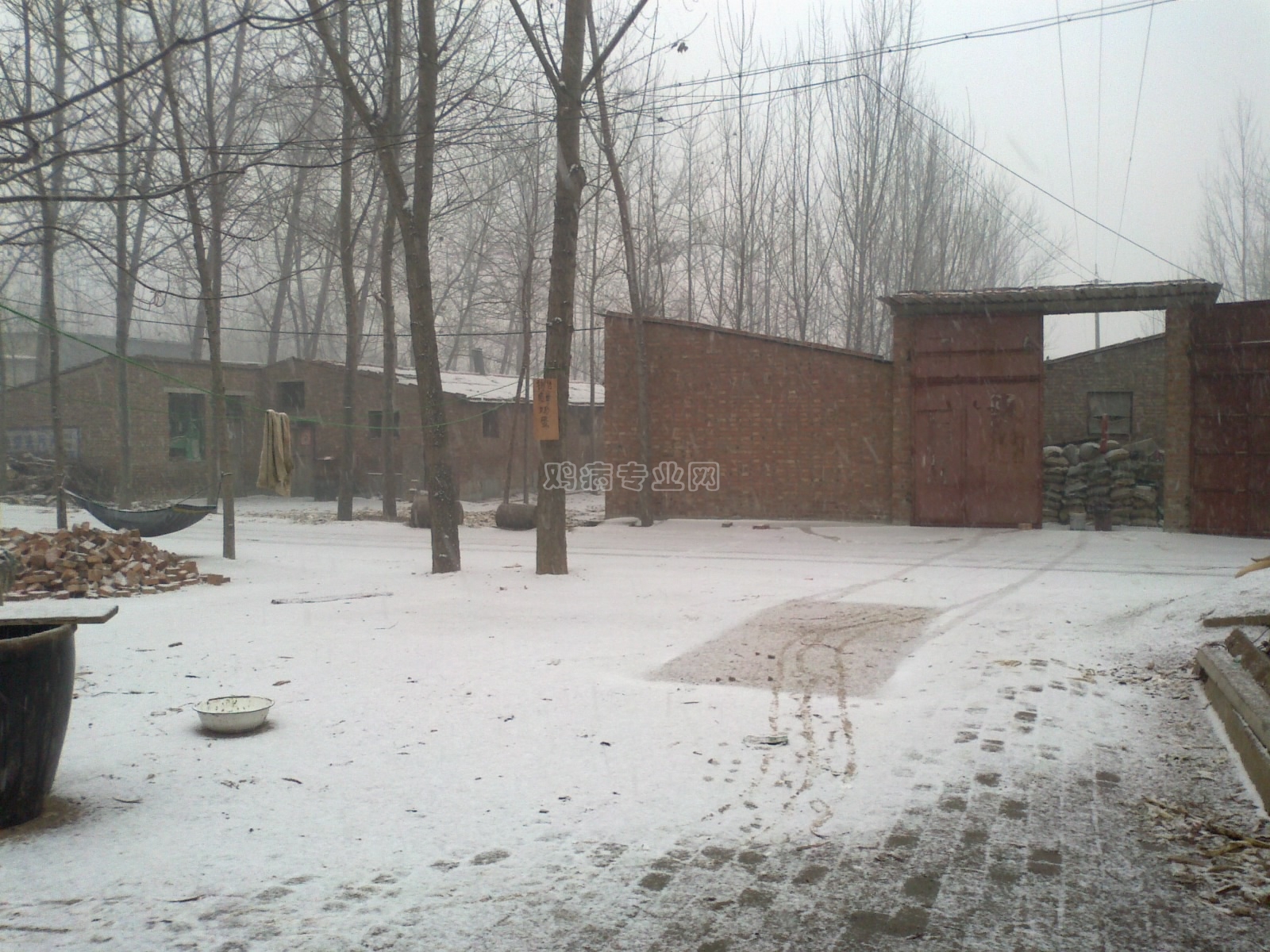 20121213852.jpg