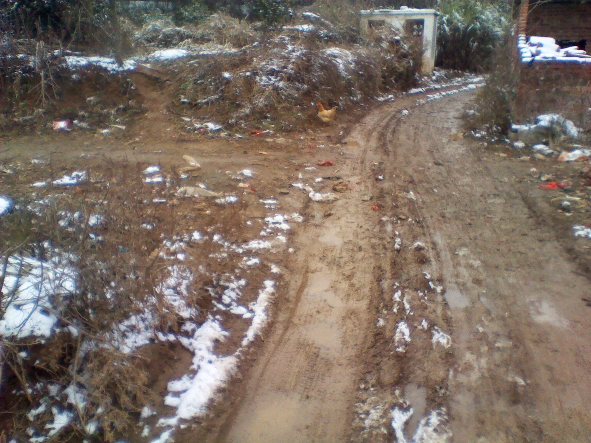 IMG_20130105_114945.jpg