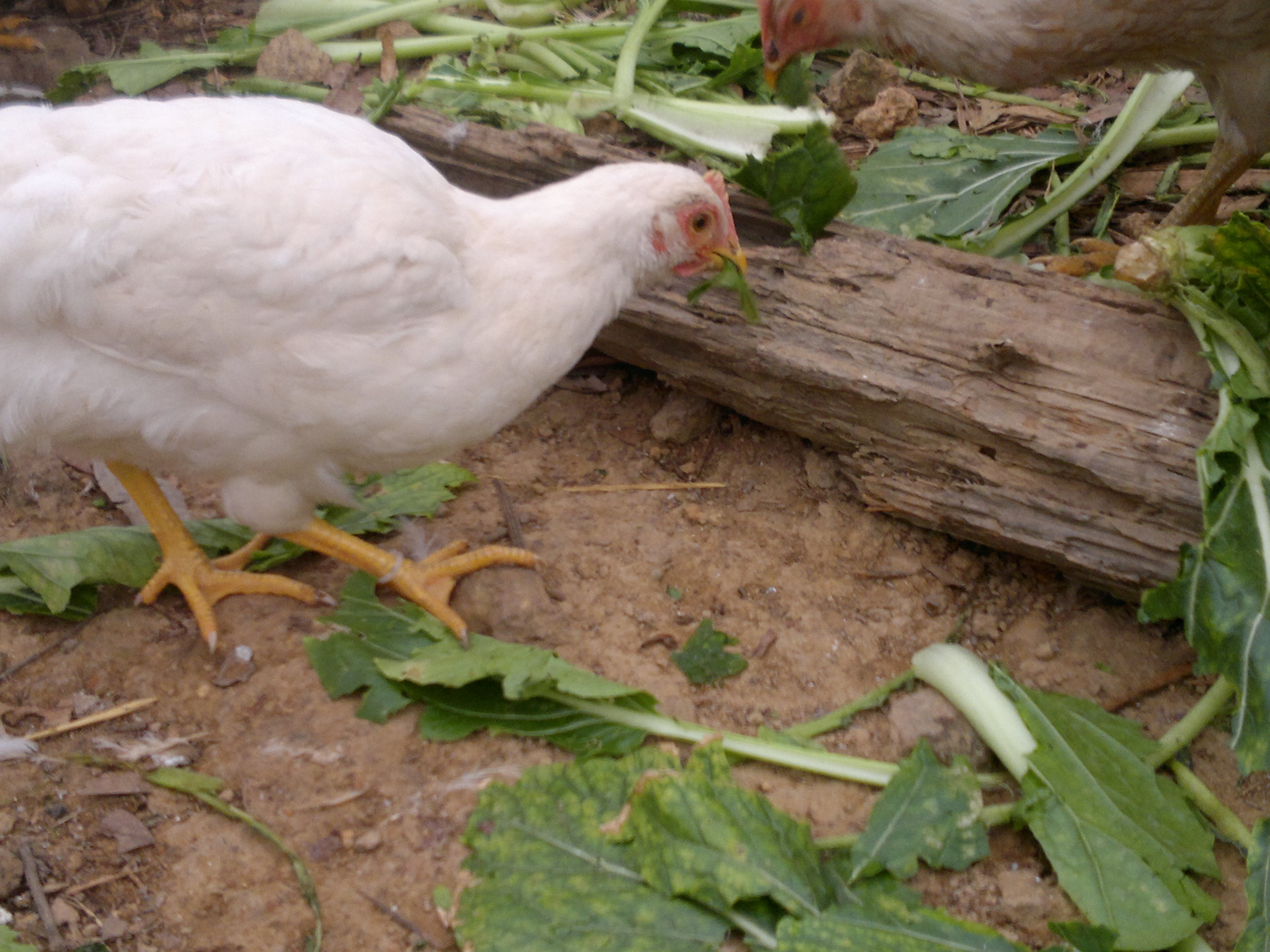 20130126471.jpg