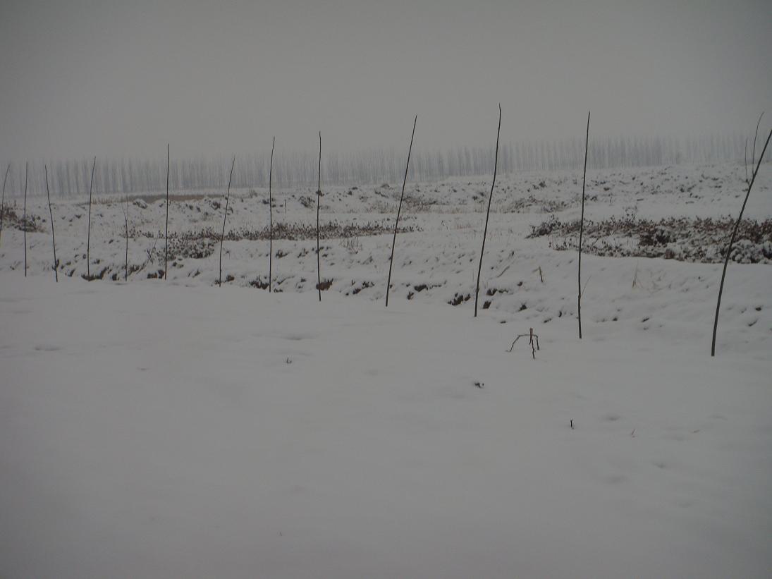 DSC00094.JPG