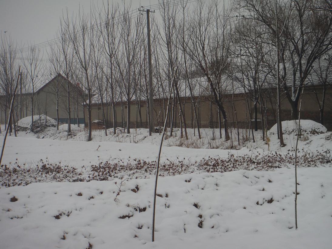 DSC00095.JPG