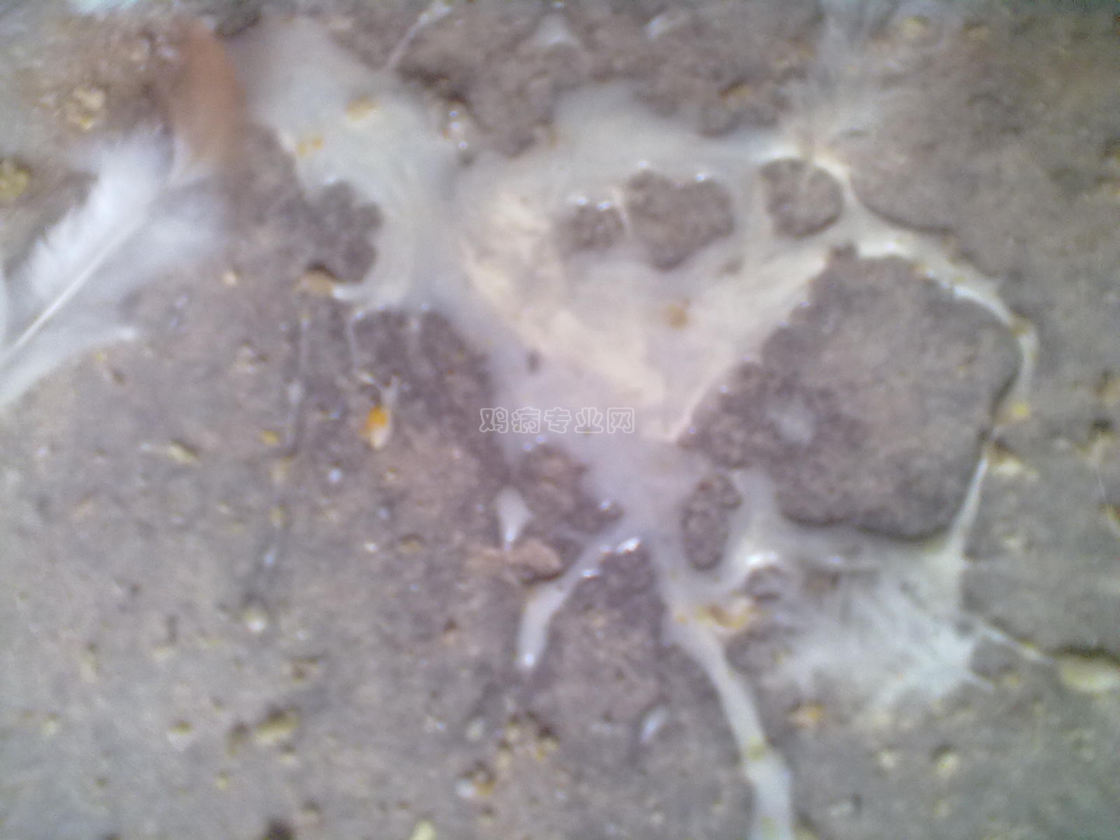 20130127039.jpg