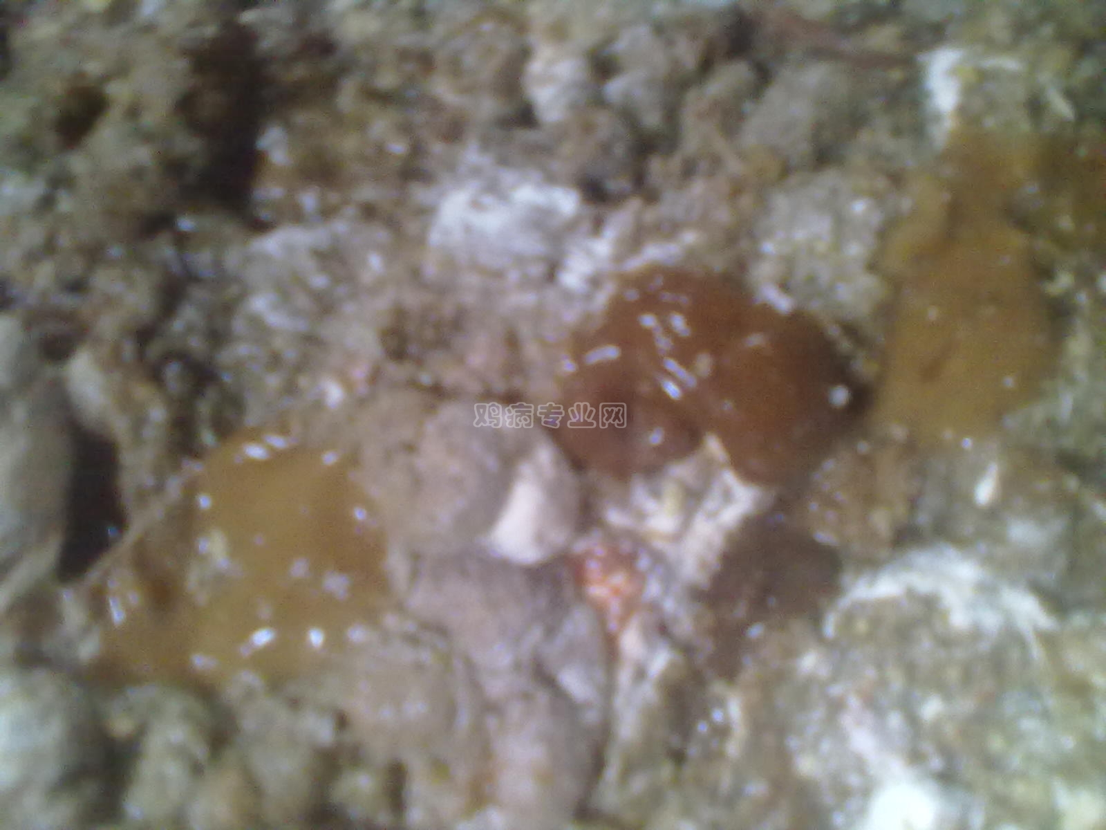 20130127036.jpg