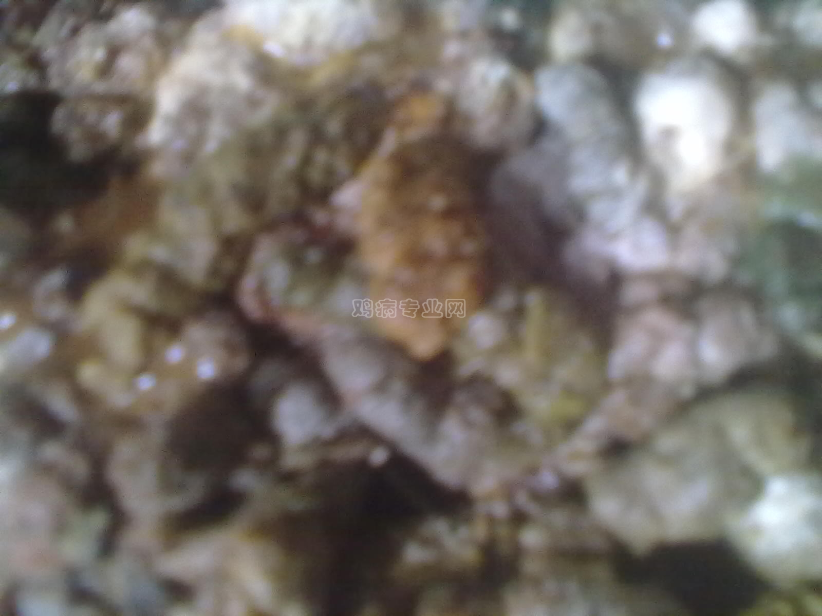 20130127037.jpg