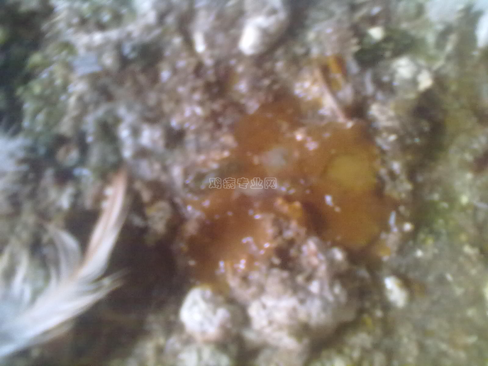 20130127034.jpg