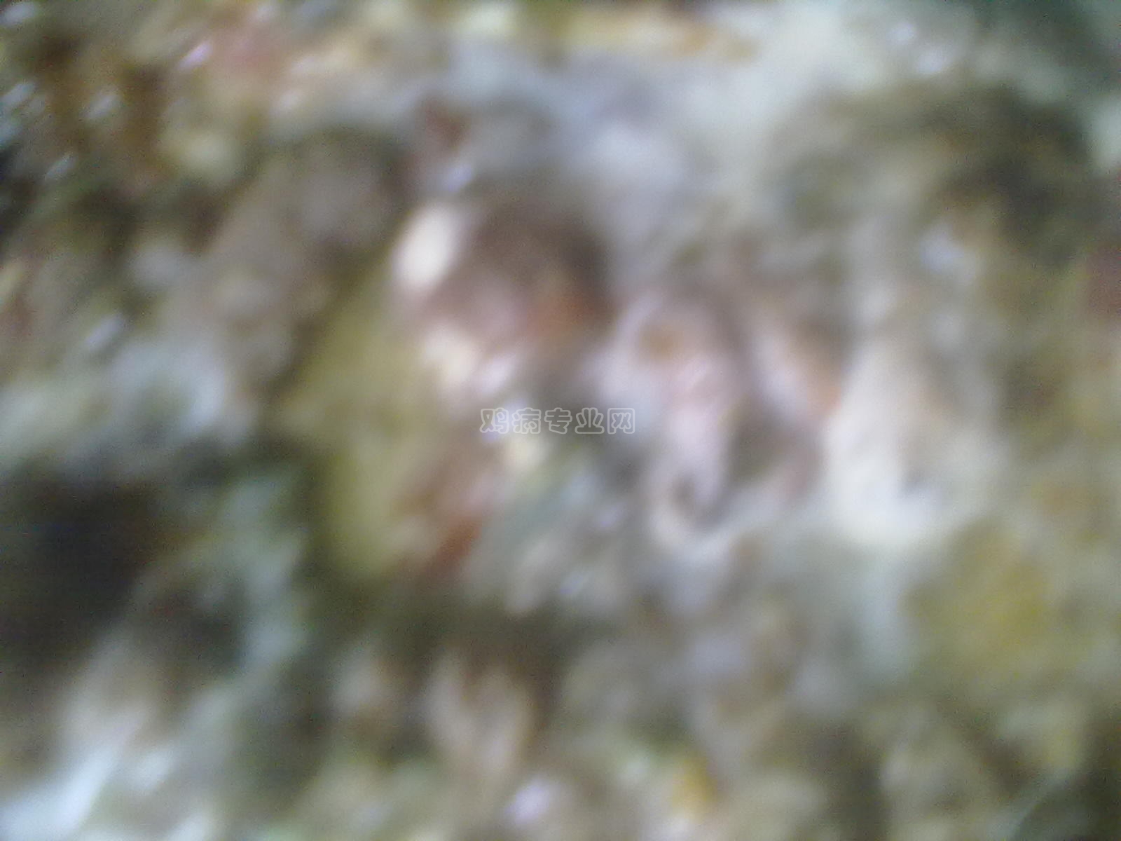 20130127038.jpg