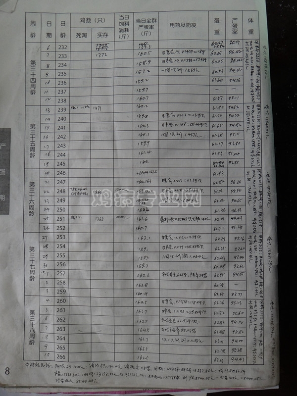 六和蛋鸡全价料产蛋期数据记录