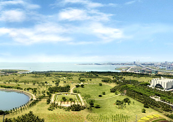 537-28.jpg