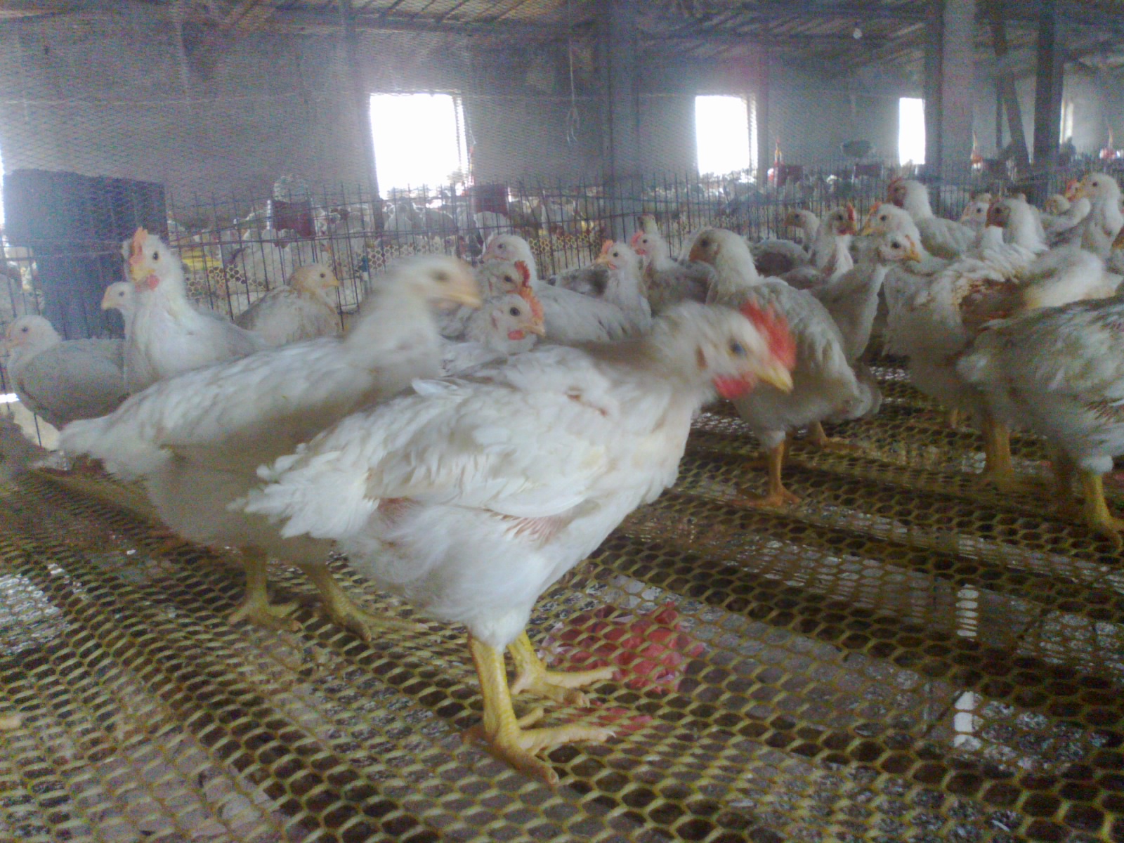 20121122819.jpg