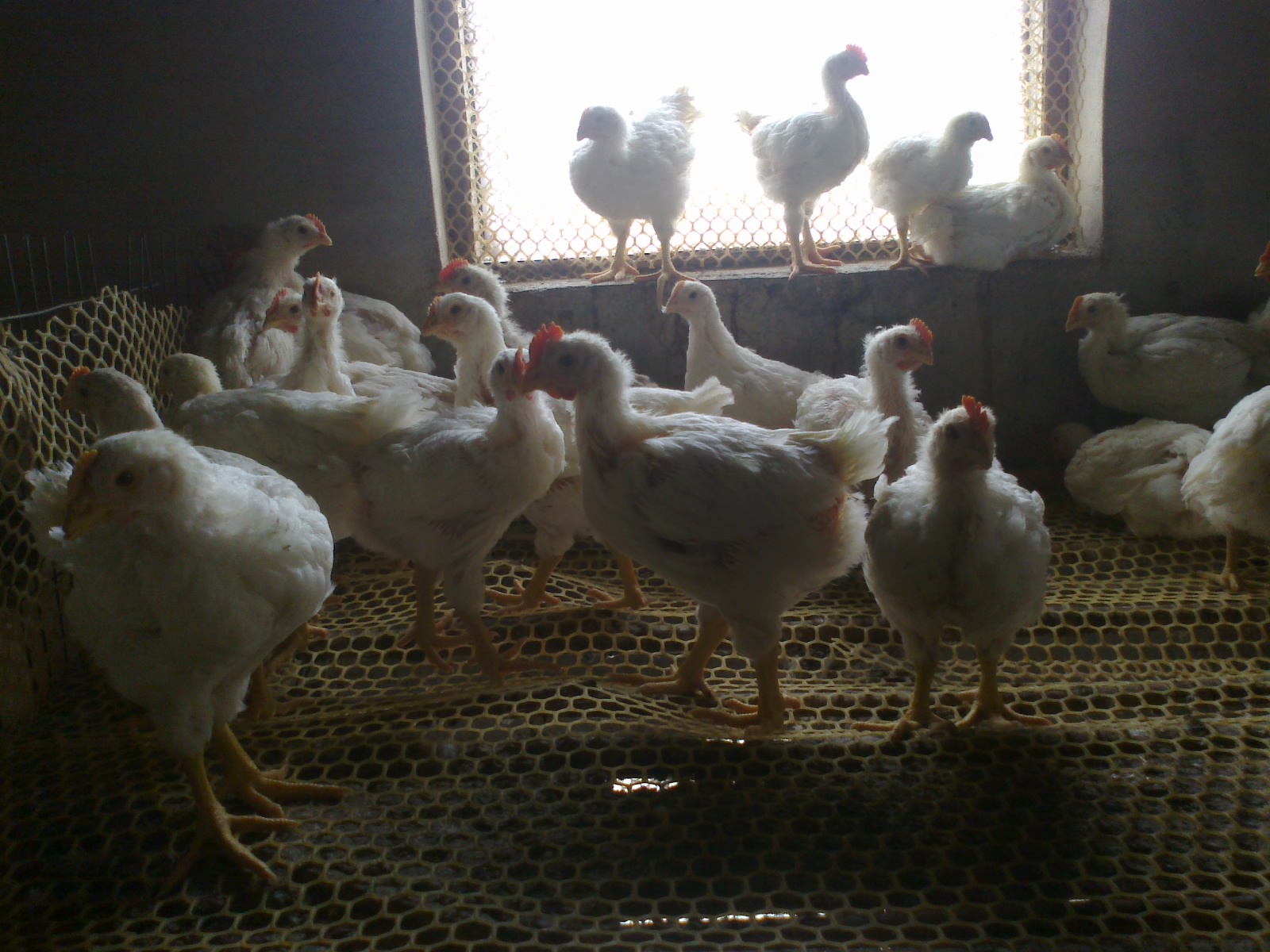 20121122823.jpg