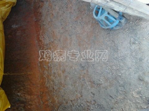 image_4.jpg
