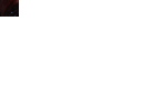 DSC02920.gif