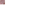 DSC00003.gif