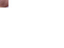 DSC02922.gif