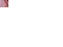 DSC02921.gif