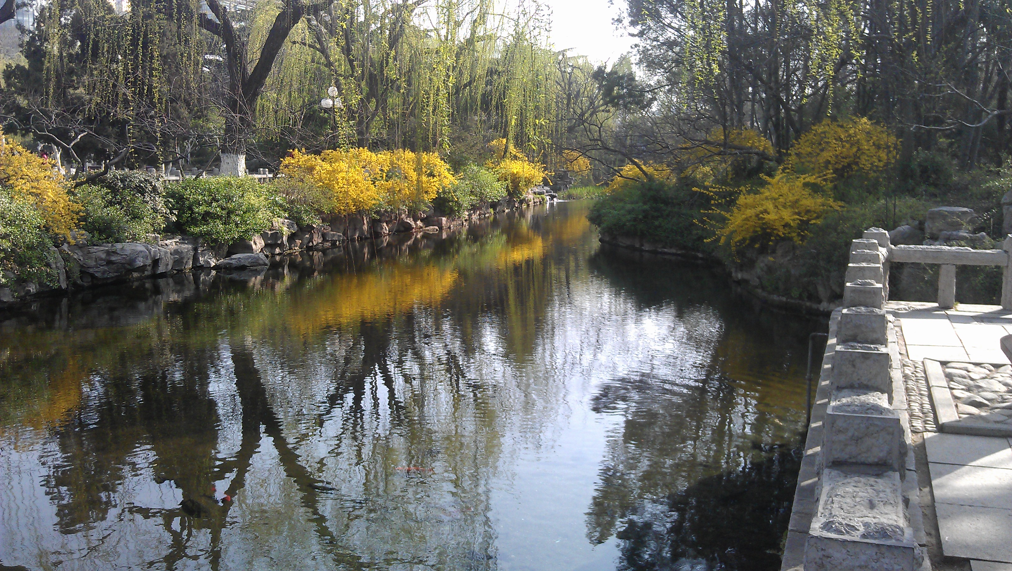 IMAG0309.jpg
