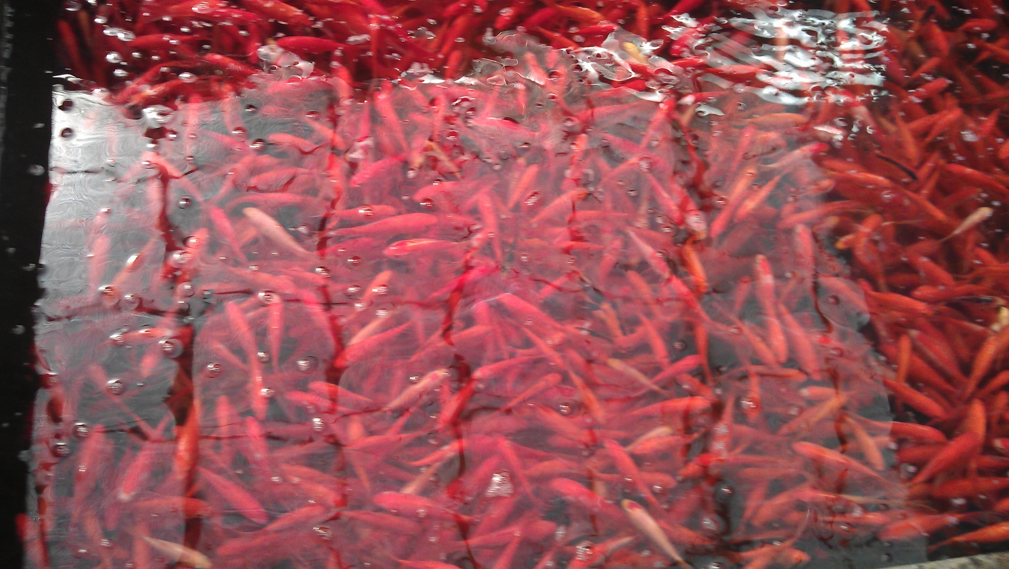 IMAG0343.jpg