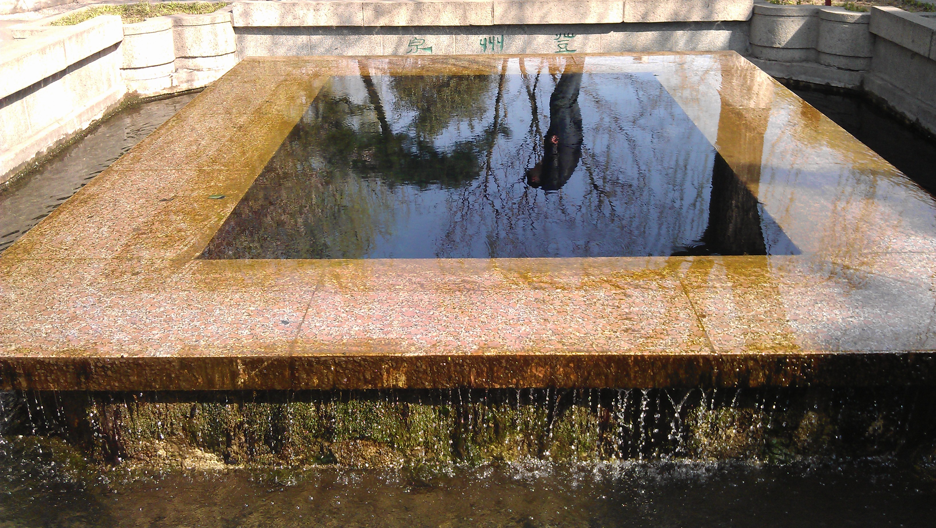 IMAG0320.jpg
