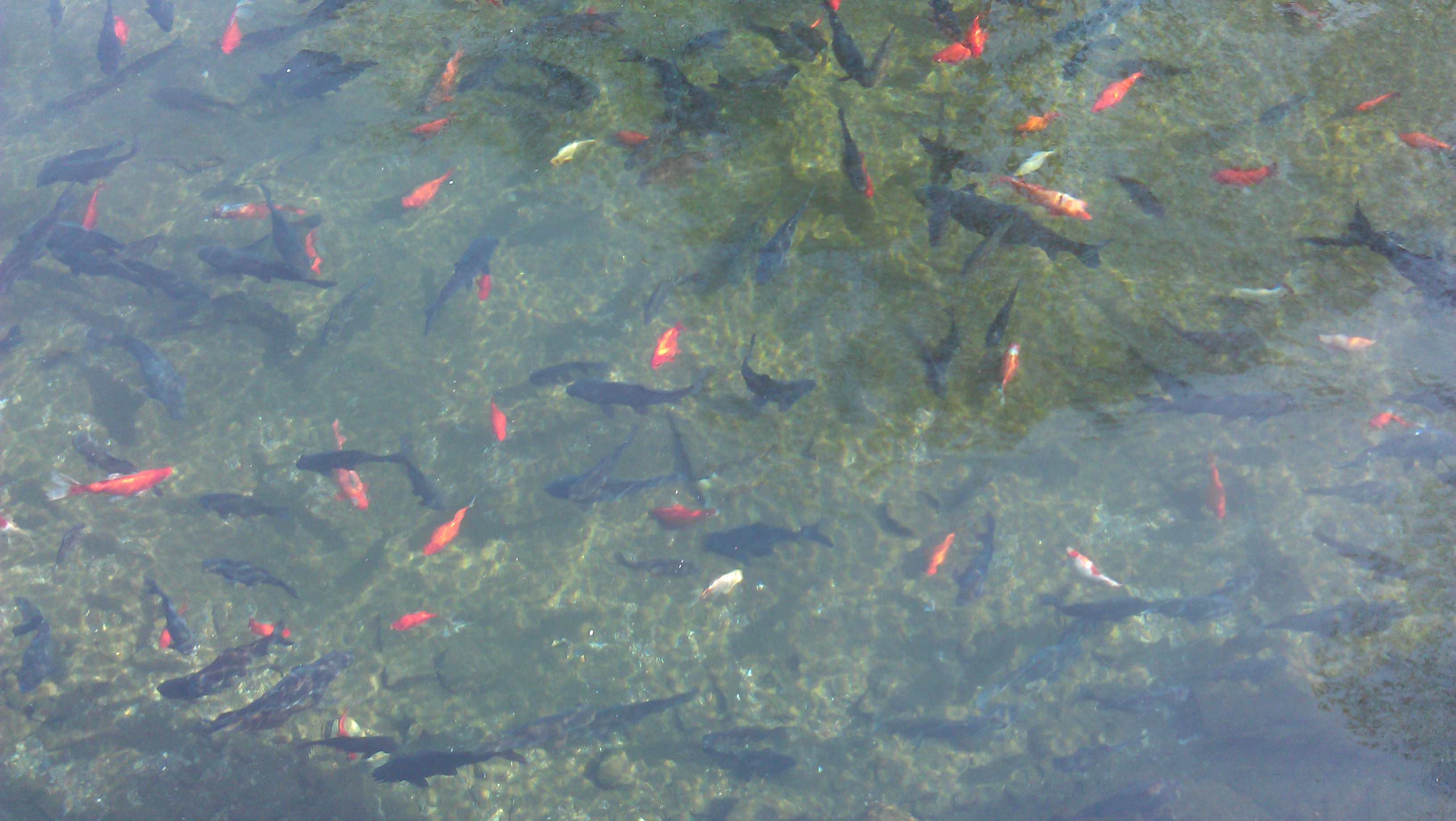 IMAG0305.jpg