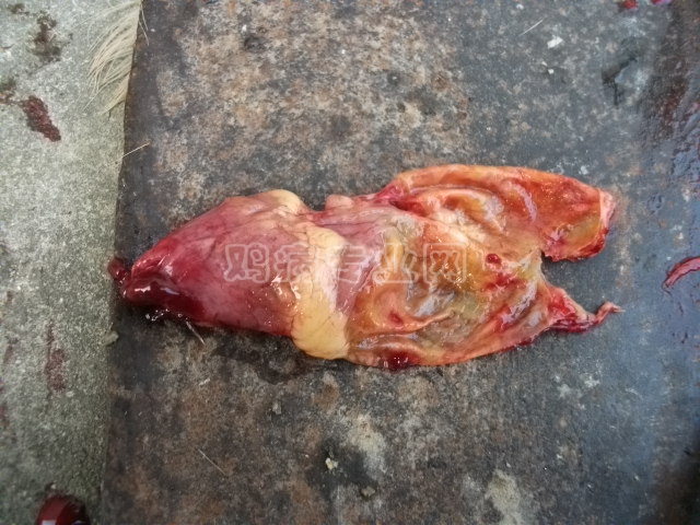 130305 014.jpg