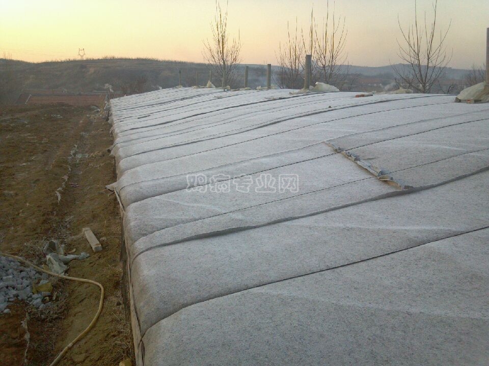 image_1.jpg