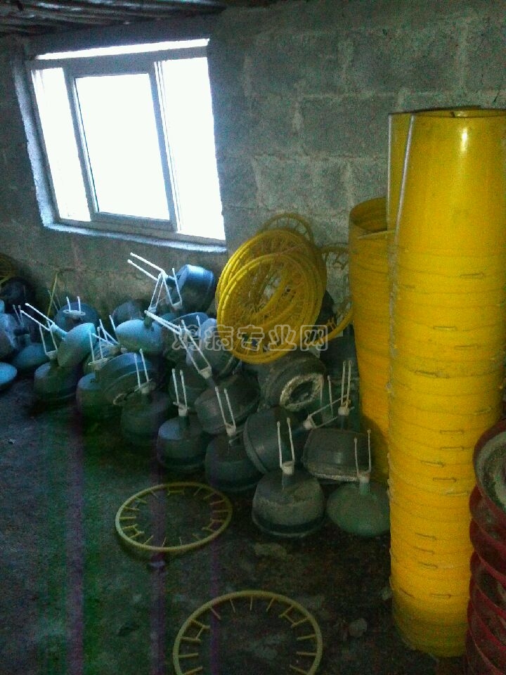 image_2.jpg