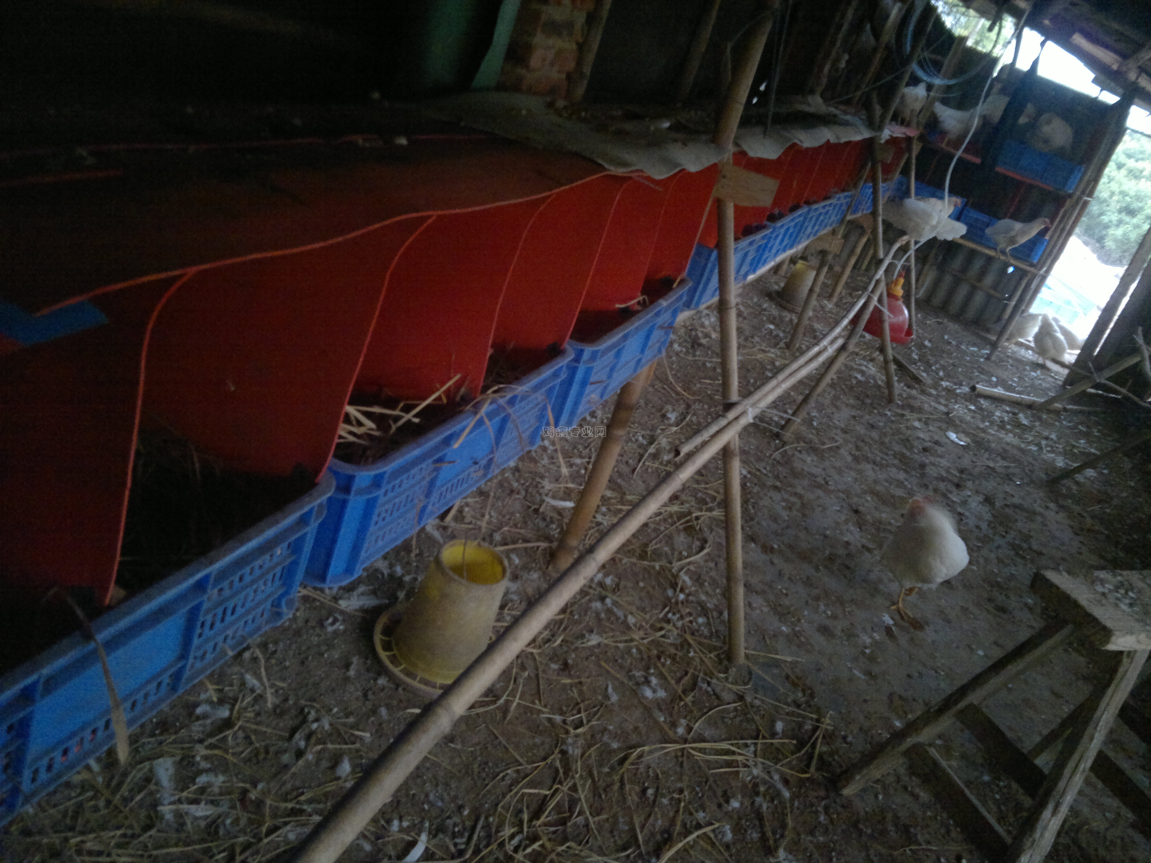 20130305560.jpg