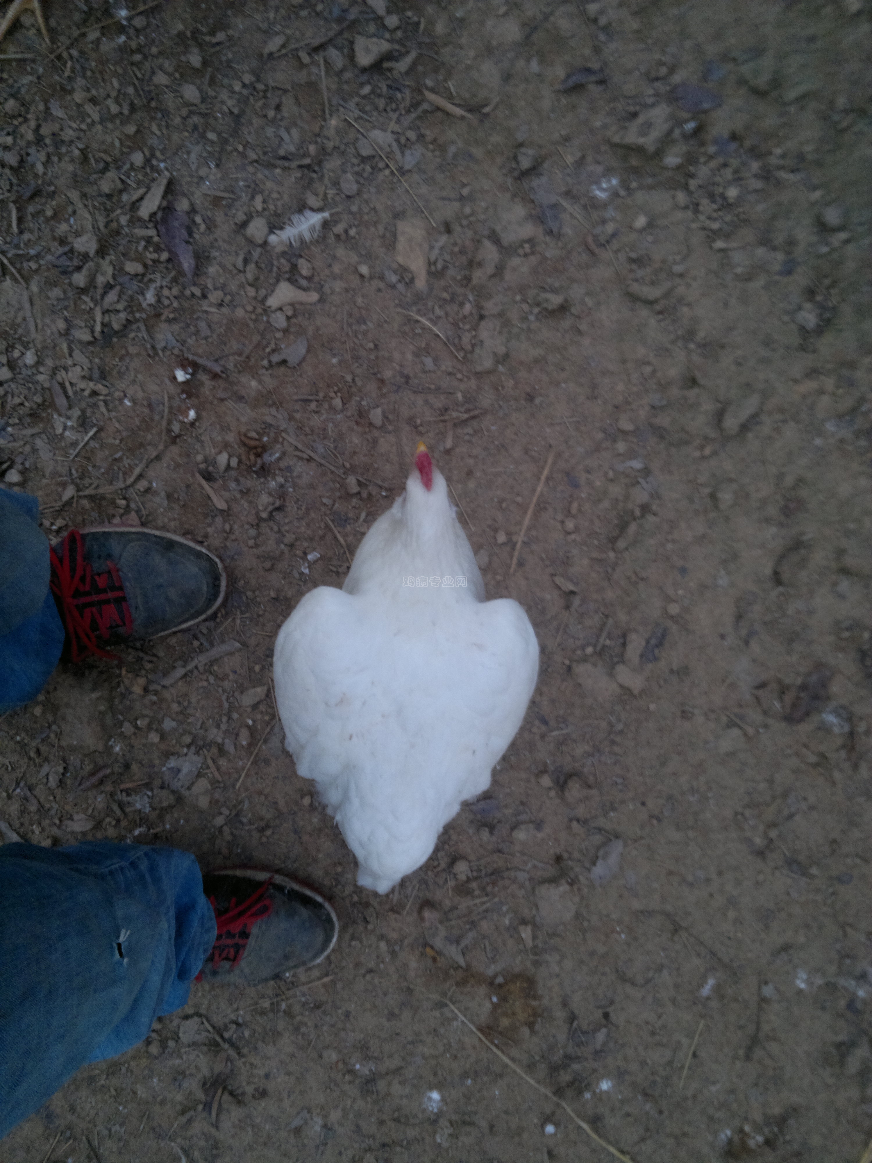 20130305566.jpg