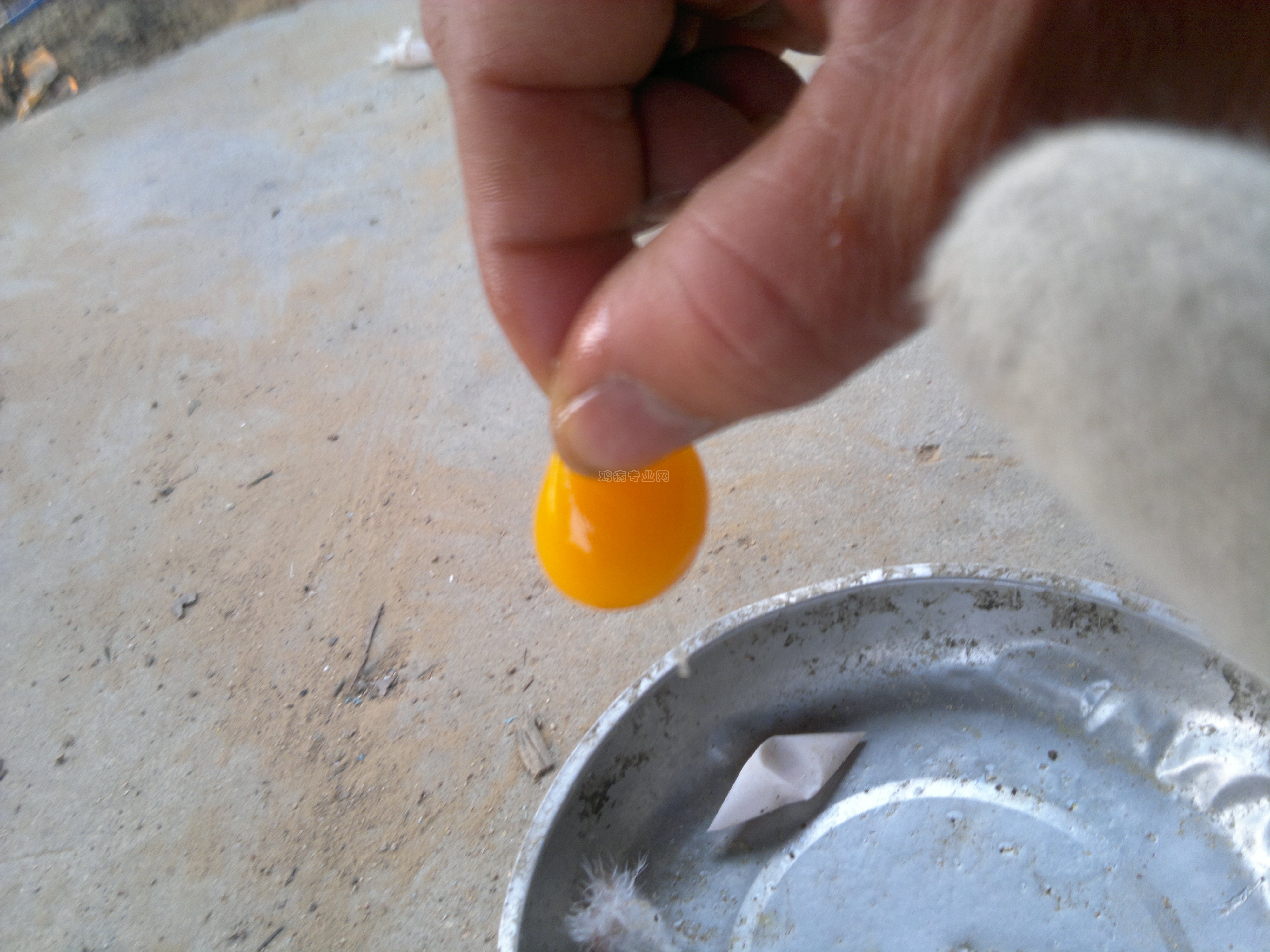 20130305542.jpg