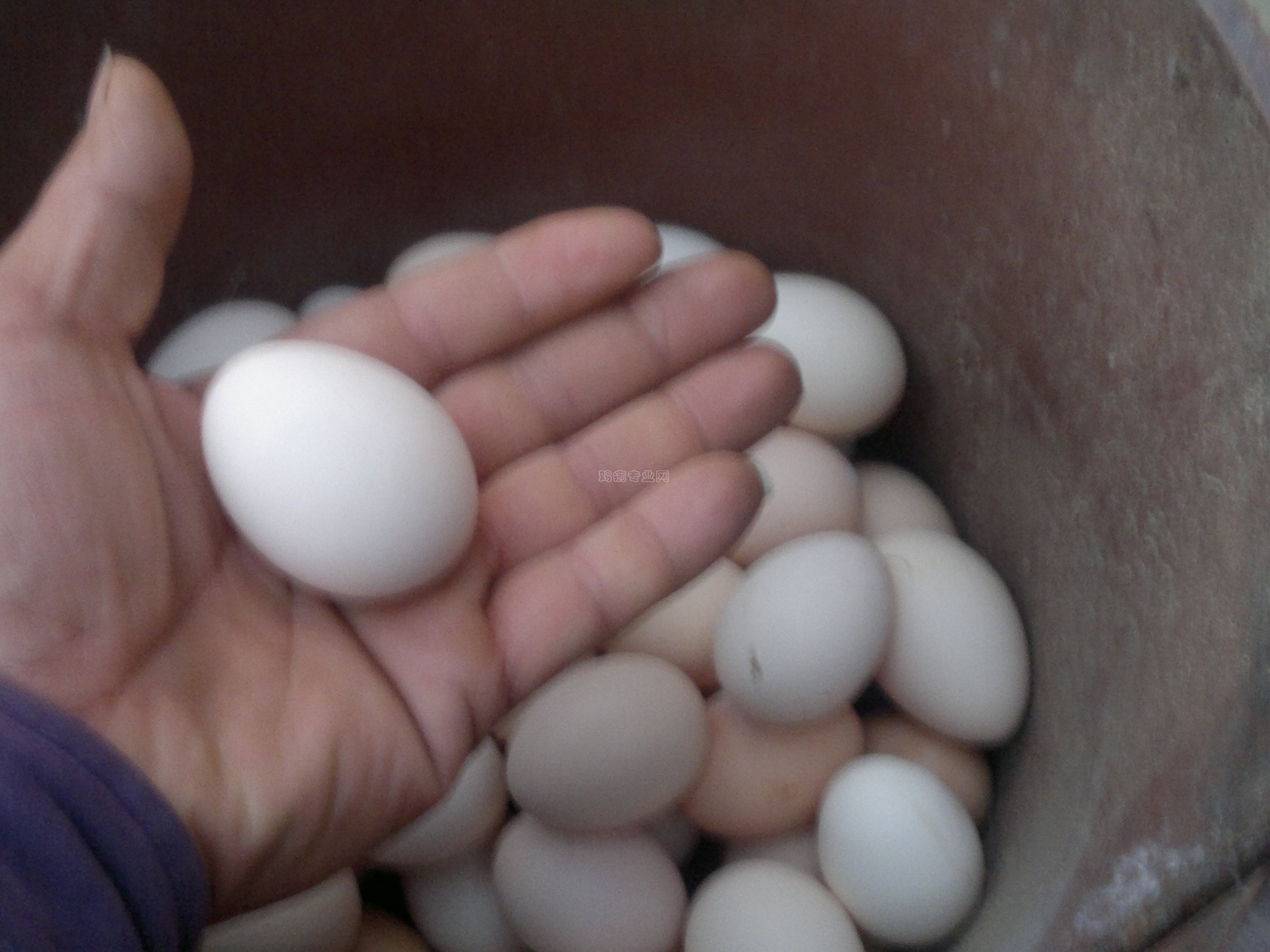 20130305553.jpg