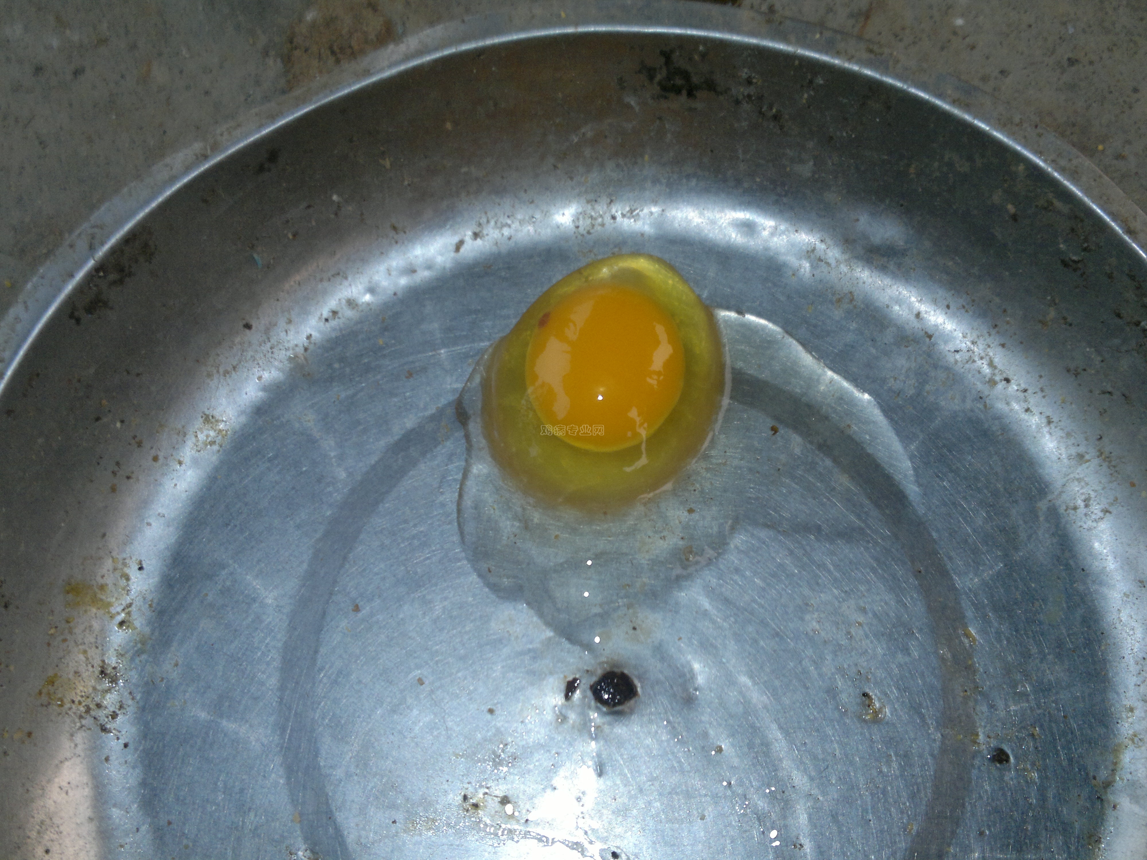 20130305550.jpg