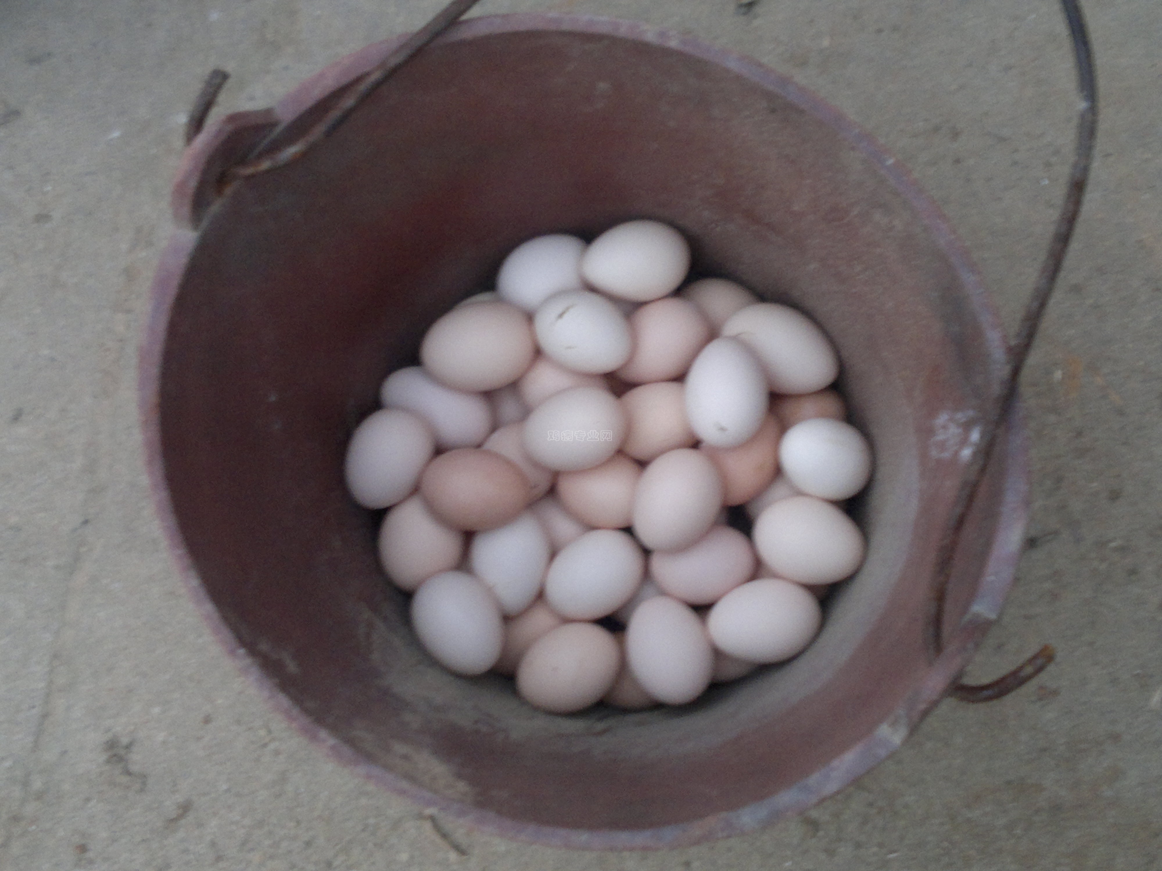 20130305552.jpg