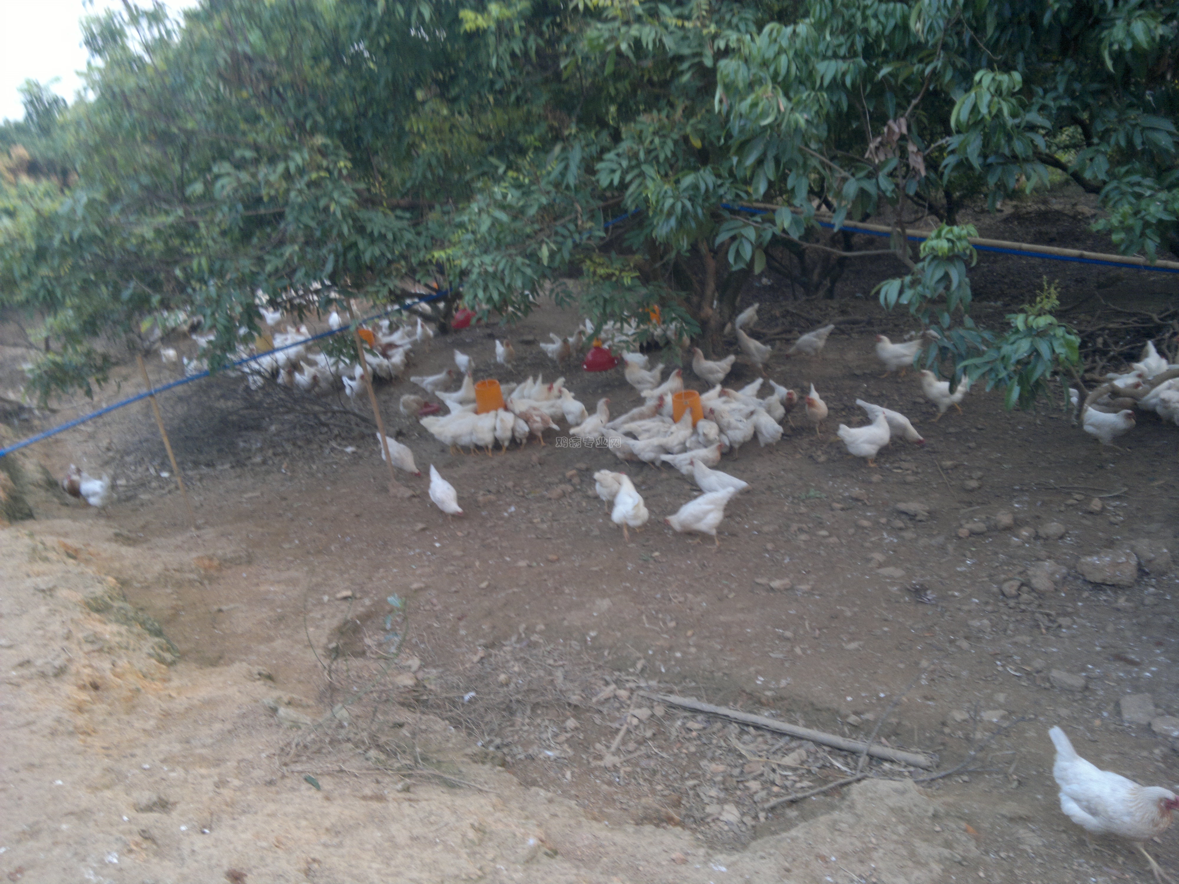 20130305546.jpg