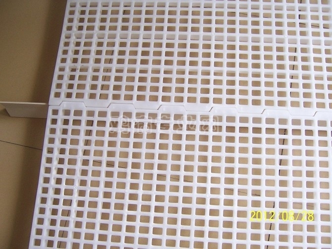 psbCA440U5G.jpg