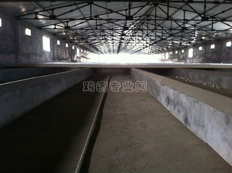 psbCA7N5XOQ.jpg