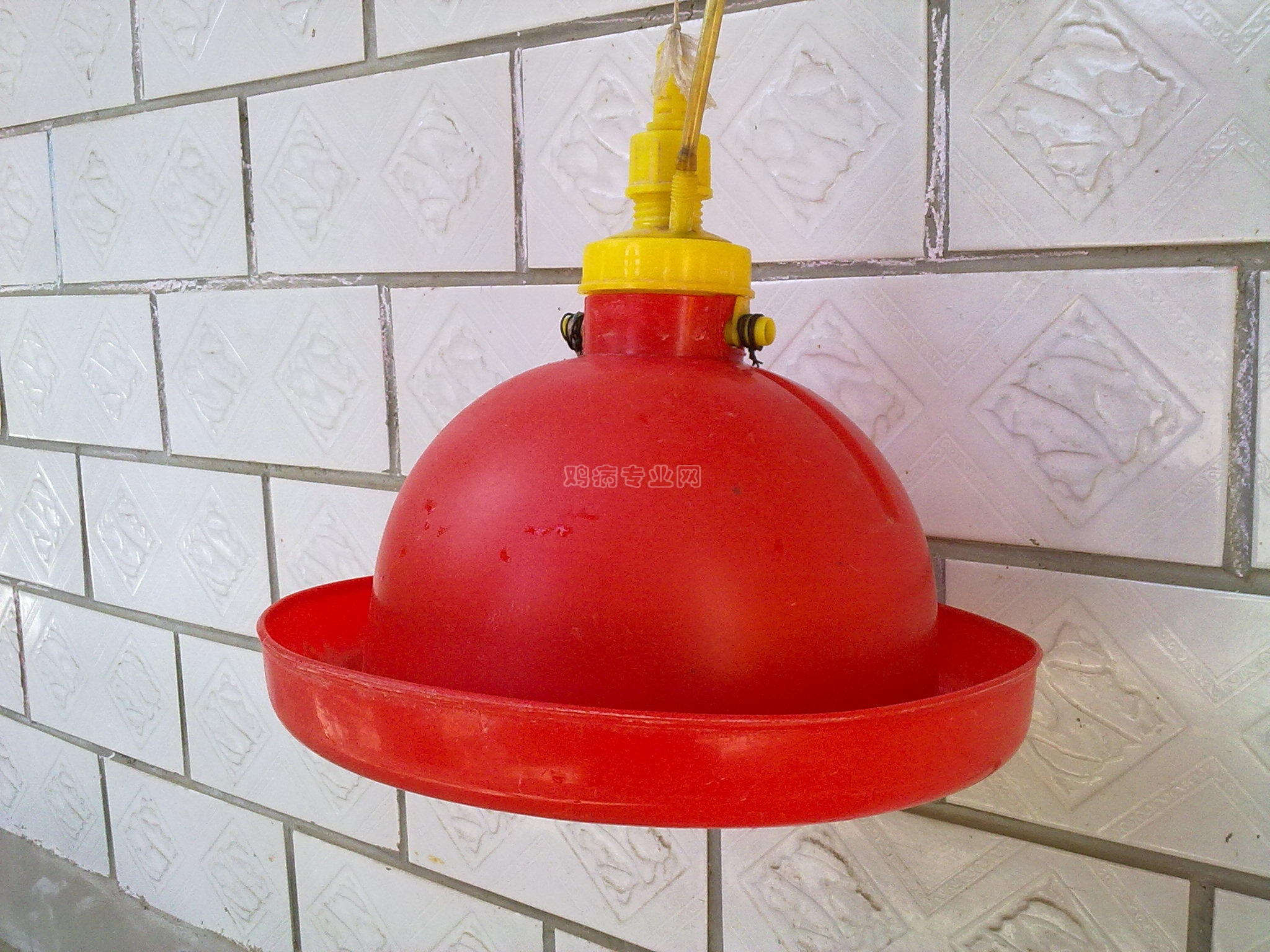201305121184.jpg
