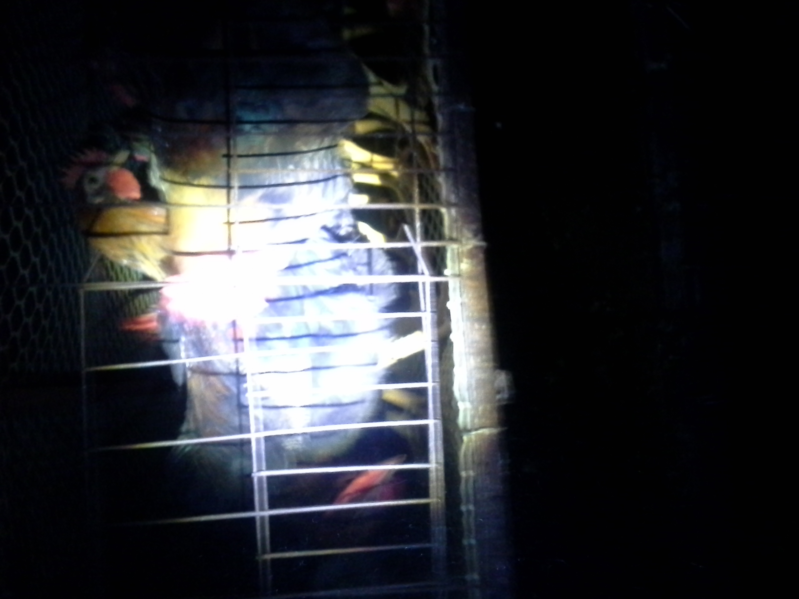 20130517_185938.jpg