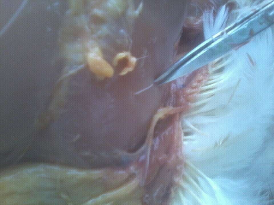 QQͼƬ20130622153508.jpg