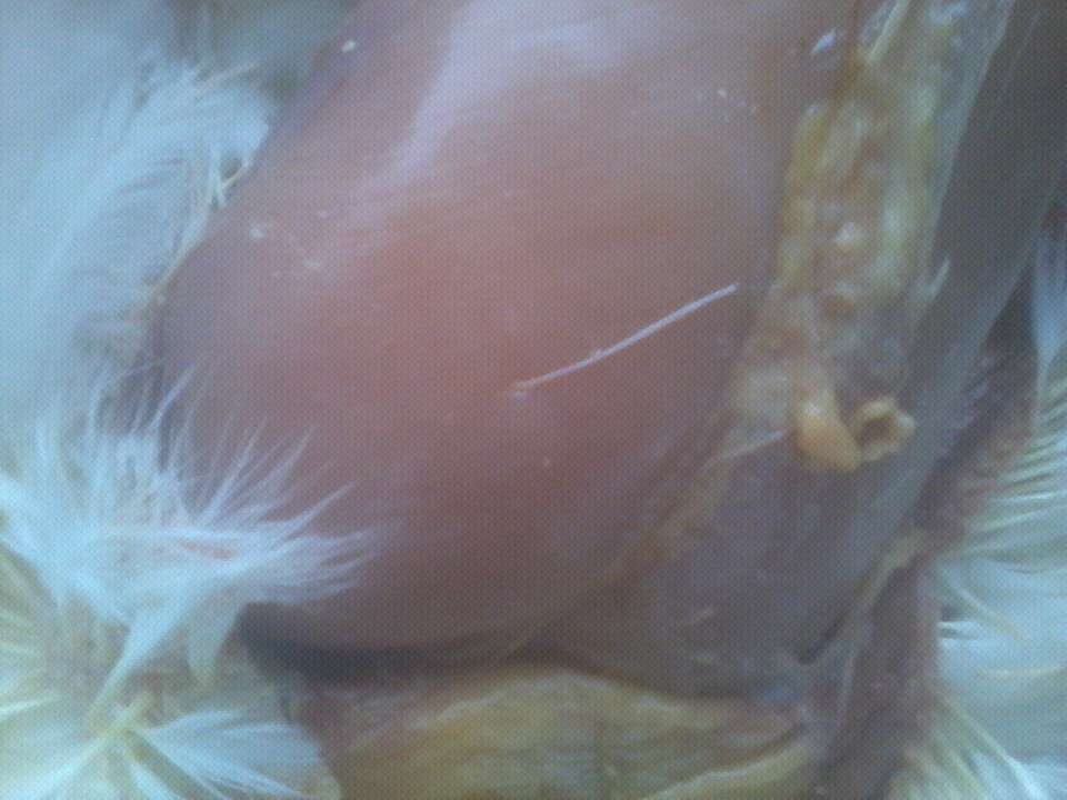 QQͼƬ20130622153514.jpg