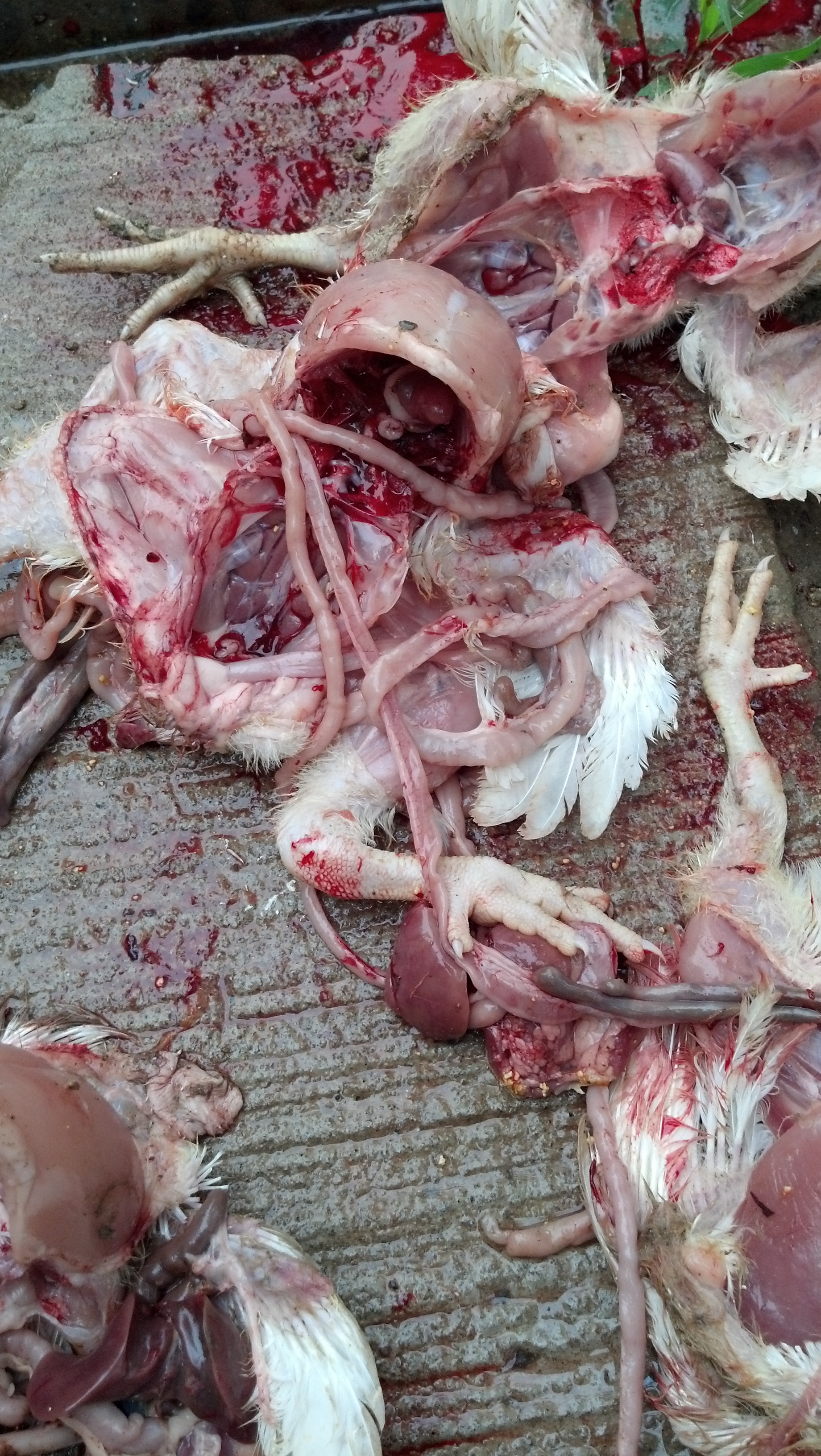 2013-06-10_15-57-09_19.jpg